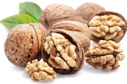 رابطه مصرف گردو با پیشگیری از پوکی استخوان