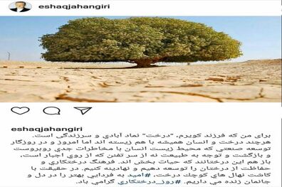 کاشت نهال‌های کوچک، امید به فردایی بهتر را در دل و جان‌مان زنده نگاه می دارد