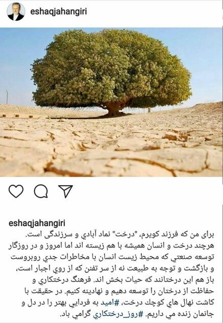 کاشت نهال‌های کوچک، امید به فردایی بهتر را در دل و جان‌مان زنده نگاه می دارد