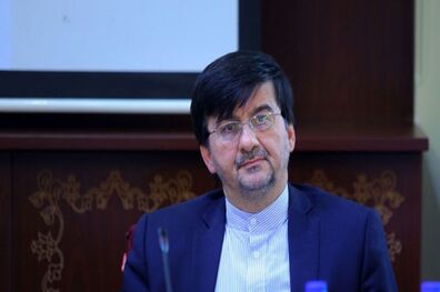 وزارت ورزش و جوانان حاضر به هرگونه همکاری با پلیس بین الملل است