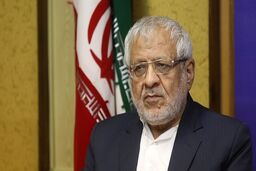 سخنگوی شورای نگهبان افکار عمومی را اقناع کند