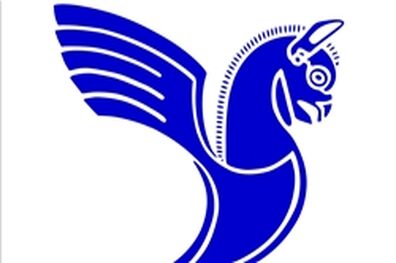 تاخیرهای مکرر مهرآباد را ناآرام کرد