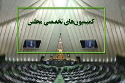 دستور کار کمیسیون‌های تخصصی مجلس مشخص شد/ رسیدگی به قانون نظام وظیفه