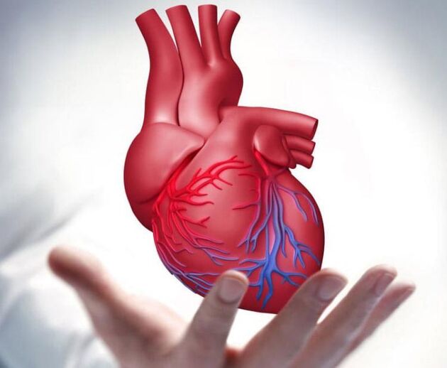  چه کار کنیم قلبمان نگیرد؟ 