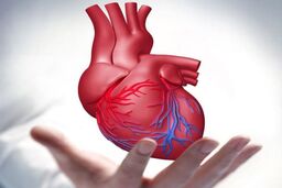 
چگونه قلب سالم داشته باشیم؟