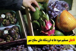 میوه های قاچاق مستقیم به فروشگاه های سطح شهر حمل می شود