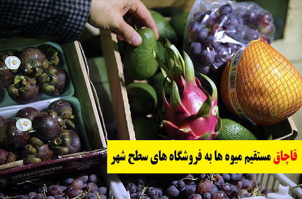 میوه های قاچاق مستقیم به فروشگاه های سطح شهر حمل می شود