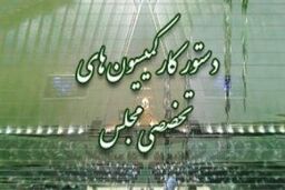 بررسی اصلاح اساسنامه بنیاد شهید و طرح تشکیل وزارت محیط زیست در دستور کار کمیسیون های مجلس