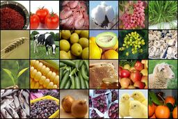 قیمت گوشت مرغ 5.5، لبنیات 4 و تخم مرغ 13 درصد افزایش یافت