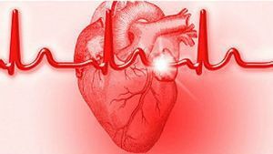 سن بروز بیماری‌های قلبی و عروقی در آقایان به 30 سالگی رسیده است