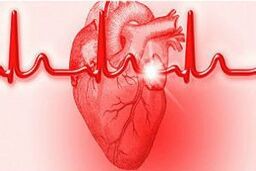 سن بروز بیماری‌های قلبی و عروقی در آقایان به 30 سالگی رسیده است