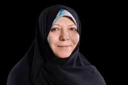 برای حل معضل آلودگی هوا نیازمند افزایش بودجه و اختیارات سازمان حفاظت محیط زیست هستیم.