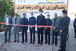 دولت و مجلس آماده همکاری با صنعت فولاد هستند