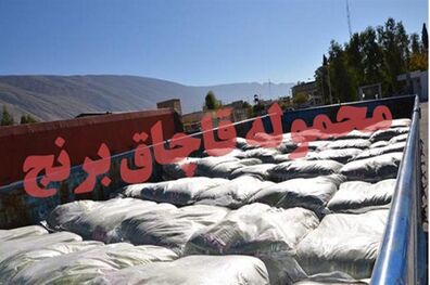 کشف 15 تن برنج قاچاق در خمینی شهر 