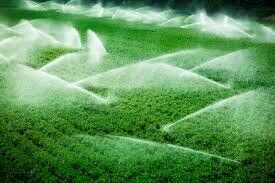 صرفه‌جویی 7 میلیون مترمکعبی آب در سال زراعی فعلی
