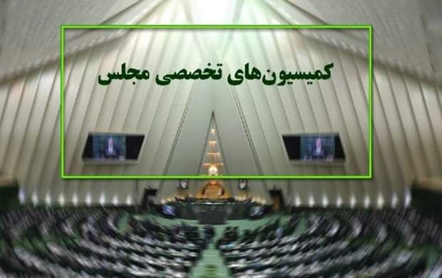 دستور کار جلسات کمیسیون‌های تخصصی مجلس اعلام شد
