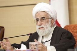 صبر و مقاومت مردم یمن در مقابل شرارت ‌های آل‌سعود قابل تقدیر است 