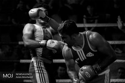 روز پایانی مسابقات بوکس جام رمضان