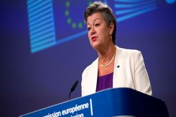 نیمی از پناهجویان اوکراینی به کشور خود بازگشته‌اند