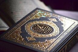 توییت امیرعبداللهیان در محکومیت هتک حرمت قرآن کریم