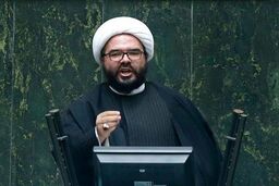 نیک بین خواستار رسیدگی به محاکمه روحانی توسط قوه قضاییه شد