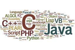 Perl منفورترین زبان برنامه نویسی از نظر توسعه دهندگان انتخاب شد 