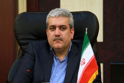استقبال از سرمایه گذار خارجی تنها برای پول آن ها نیست