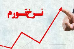 نرخ تورم امسال رکورد زد