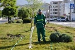 آبیاری چمن در محوطه دستگاههای دولتی ممنوع شد