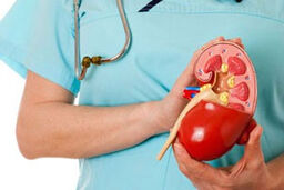 یکی از علل اصلی ابتلا به سنگ کلیه