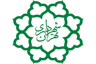 ماجرای  نوجوان مجروح شده افغان در میدان سپاه اعلام شد