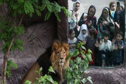 بعید است که "هیرمان" در باغ وحش دوام بیاورد 