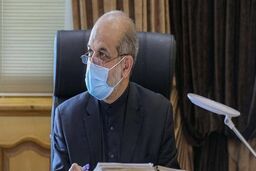 اعلام شماره پیامک برای ارتباط مردم با وزیر کشور