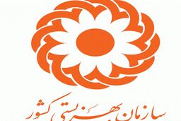  تسلیت معاون وزیر و رئیس سازمان بهزیستی کشور به بازماندگان زلزله کرمانشاه 