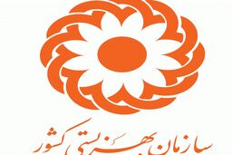  تسلیت معاون وزیر و رئیس سازمان بهزیستی کشور به بازماندگان زلزله کرمانشاه 