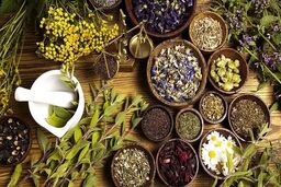 ۱۰ گام بلند برای استفاده از ظرفیت‌های ملی صنعت گیاهان دارویی