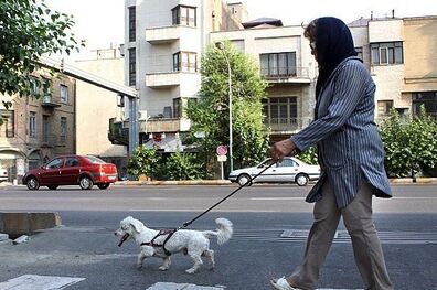 برخورد پلیس با تخلفات و مظاهر علنی فساد از جمله سگ گردانی