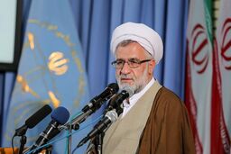 سازمان قضایی نیروهای مسلح مجوز حمل سلاح به نجفی نداده است