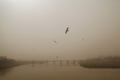 برای حل بحران ریزگردها از مردم کمک بگیرید