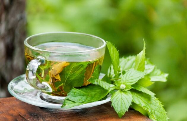 فواید تفاله چای در باغبانی و گیاهان + روش استفاده