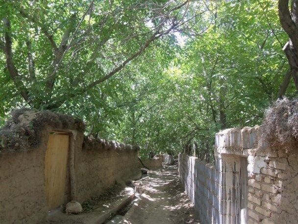 درگیری بر سر آب 1 کشته و12 زخمی بر جای گذاشت