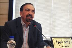 رضا شیوا: در حال بررسی بازار خودروهای وارداتی هستیم