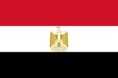 حضور ترکیه در لیبی نگران کننده است