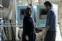 قاب نقد میزبان نقد مجموعه تلویزیونی سایه بان شد