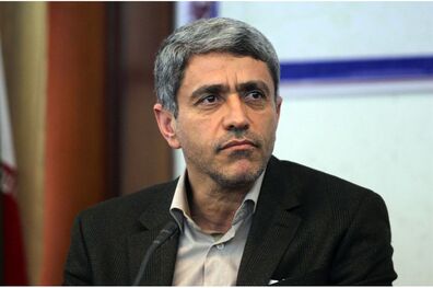 طیب نیا از همکاری نکردن بانک‌های خارجی با ایران انتقاد کرد
