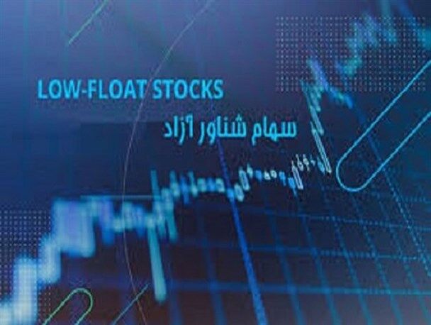 اصلاح مصوبه افزایش سهم شناور شرکت های دولتی از سوی هیات دولت