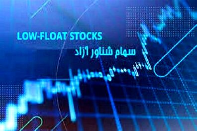 اصلاح مصوبه افزایش سهم شناور شرکت های دولتی از سوی هیات دولت