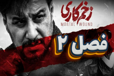 زخم کاری و خجالت نکش۲  از ساترا مجوز تولید گرفتند