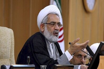 پرونده قتل میترا استاد مثل سایر پرونده‌ها رسیدگی می شود