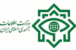 وزارت اطلاعات از دستگیری قاتل ۲ شهروند درودی خبرداد 